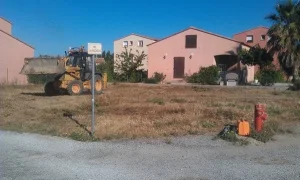 projet_dauphins_1-1